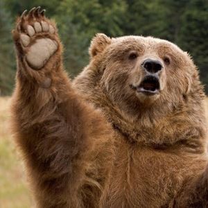 Meet your Posher, Thomas